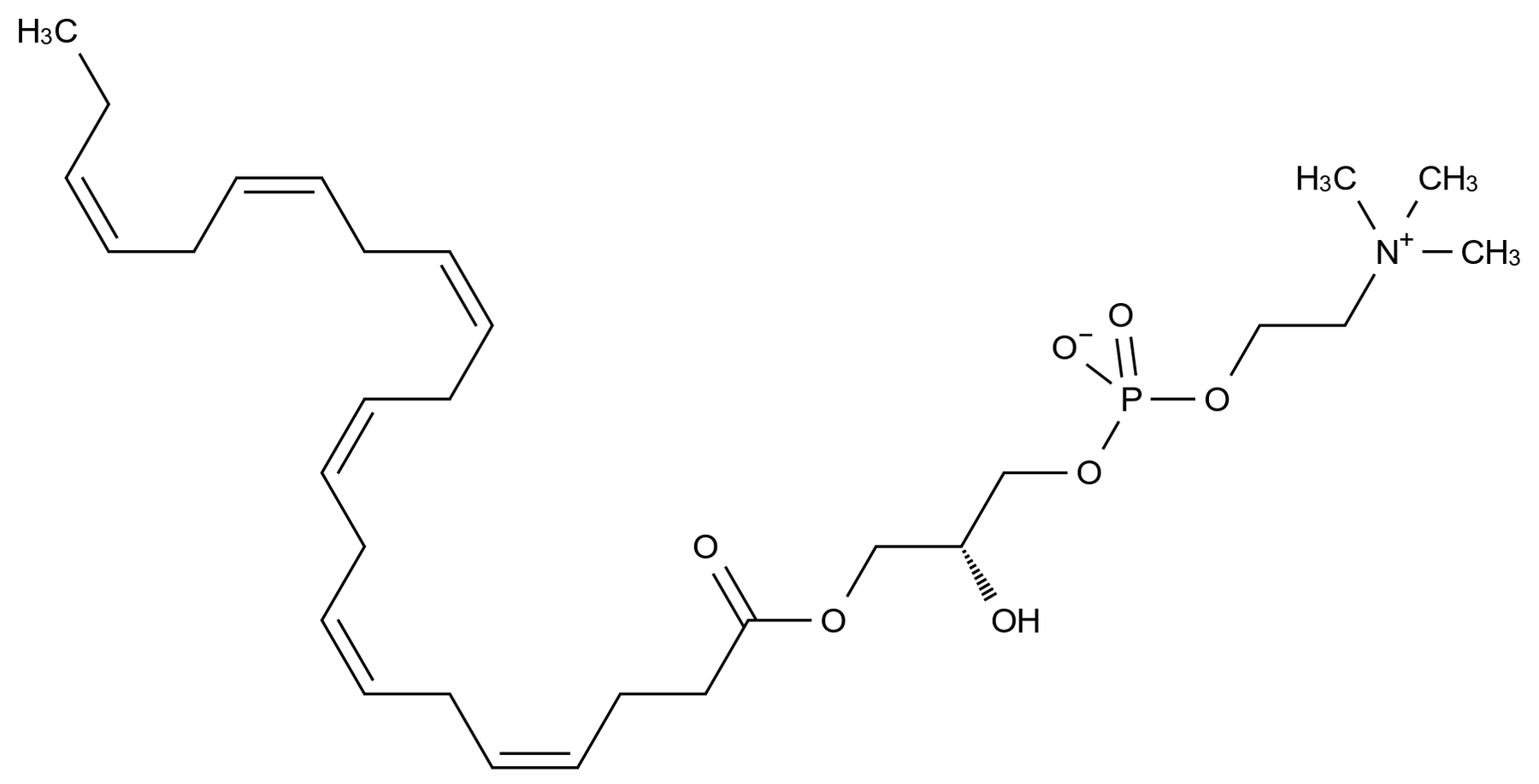 1-二十二碳六烯酰基-sn-甘油-3-磷酸胆碱结构式