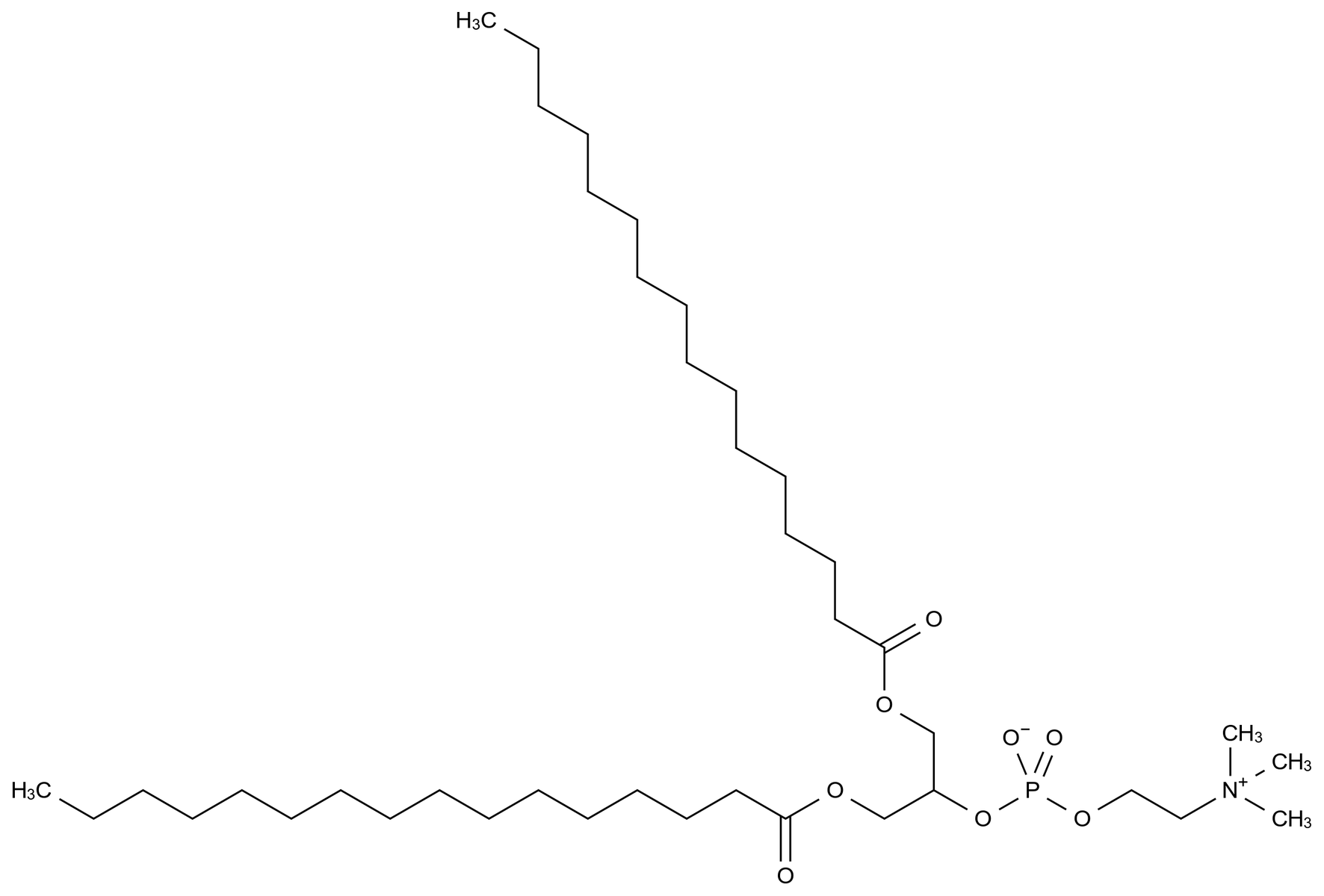59540-22-6 16:0 2-PC结构式
